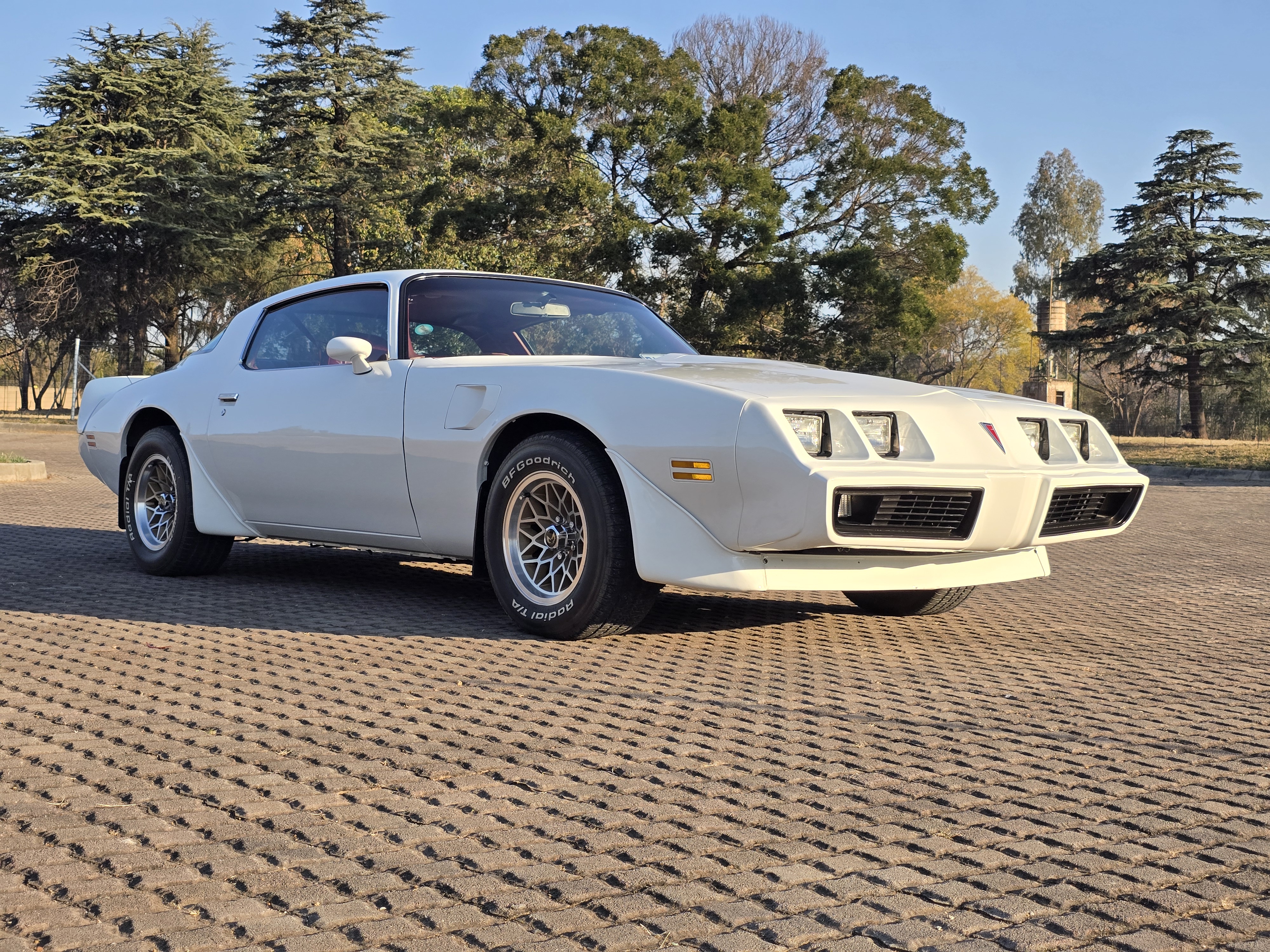 1980 Ponitac TransAm