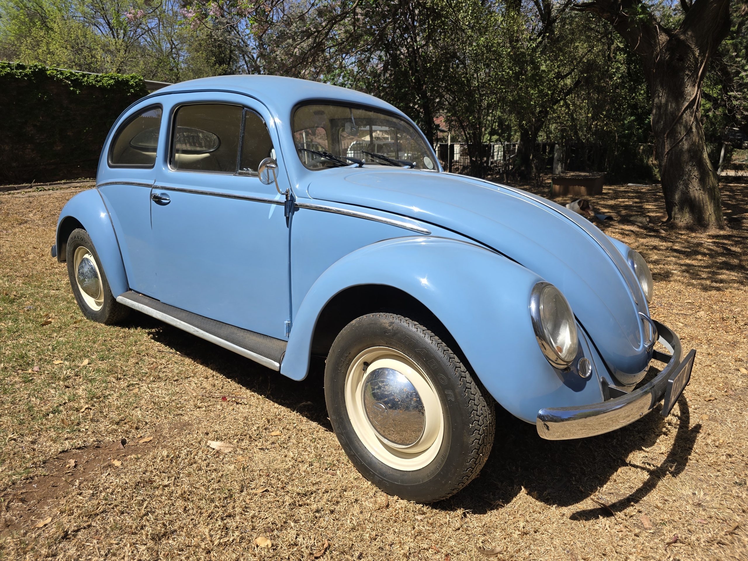 1956 Volkswagen Oval Beetle